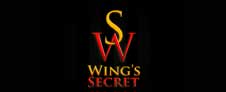 expo mexicana de franquicias wings secret